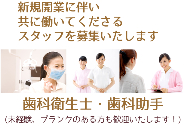 スタッフ募集中！